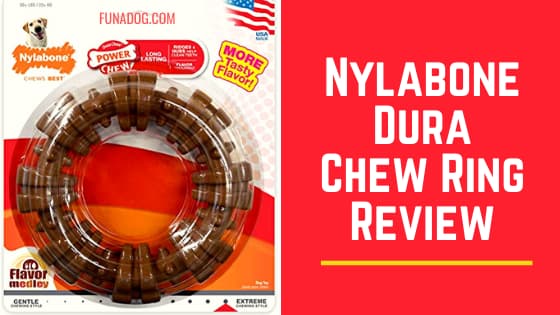 Nylabone Review : Dura Chew Ring Power Dog Toy | Funadog.com