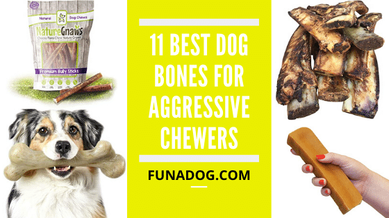 safe dog chews for aggressive chewers