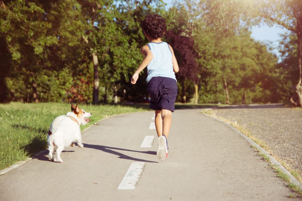 How To Train Your Dog To Walk Beside You Without a Leash?
