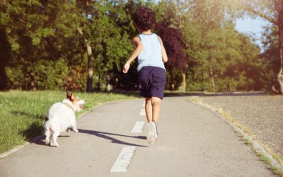 How To Train Your Dog To Walk Beside You Without a Leash?