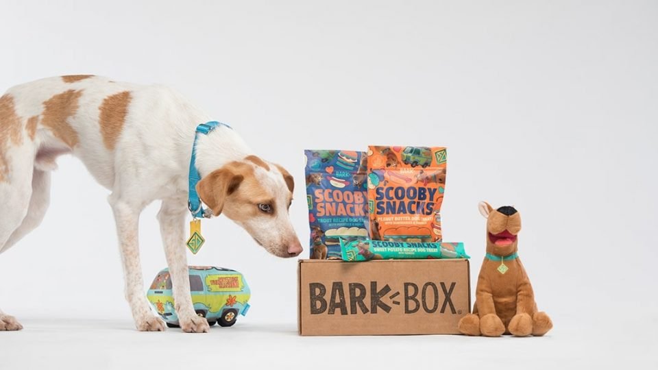 Why Get a dog box subscription?