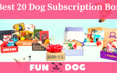 20 Best Monthly Dog Subscription Box 2021 | Gifts Services