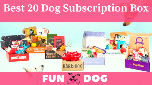 20 Best Monthly Dog Subscription Box 2021 | Worth The Money