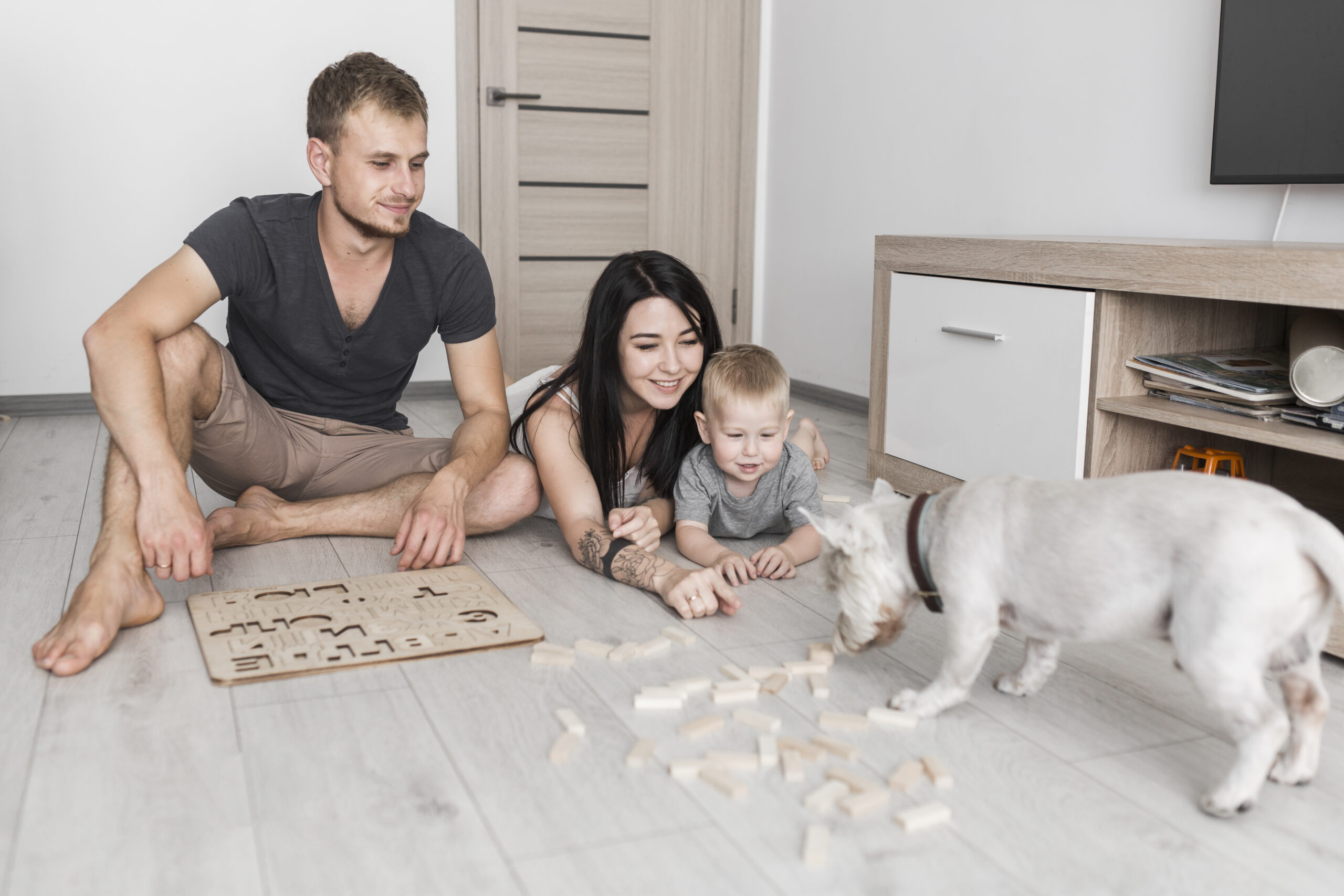 dog puzzle toys